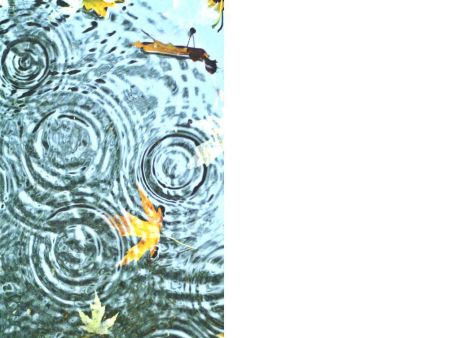 Rippling Pond Blank Greeting Card